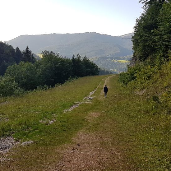 Landschaft: Grasland und Büsche im Habitat Halb-natürliches Grasland in der NatureSpots App