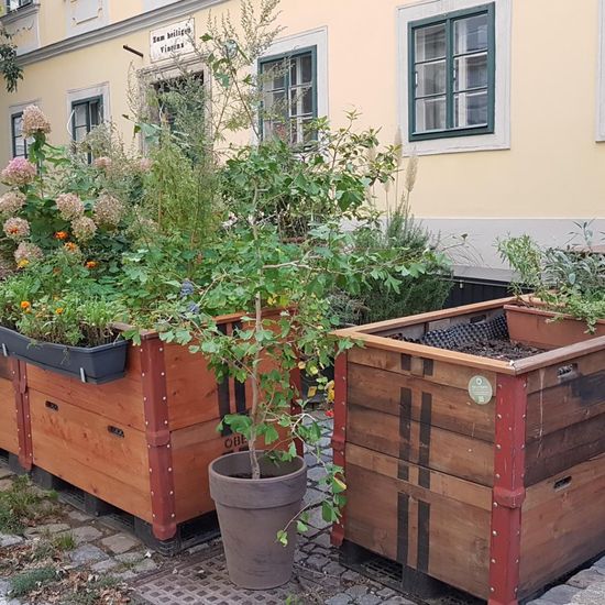 Landschaft: Stadt und Garten im Habitat Guerilla gardening in der NatureSpots App