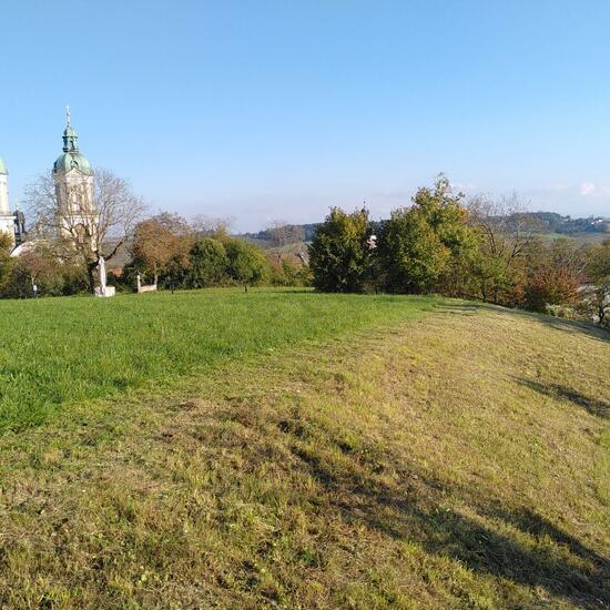 Landschaft: Grasland und Büsche im Habitat Halb-natürliches Grasland in der NatureSpots App