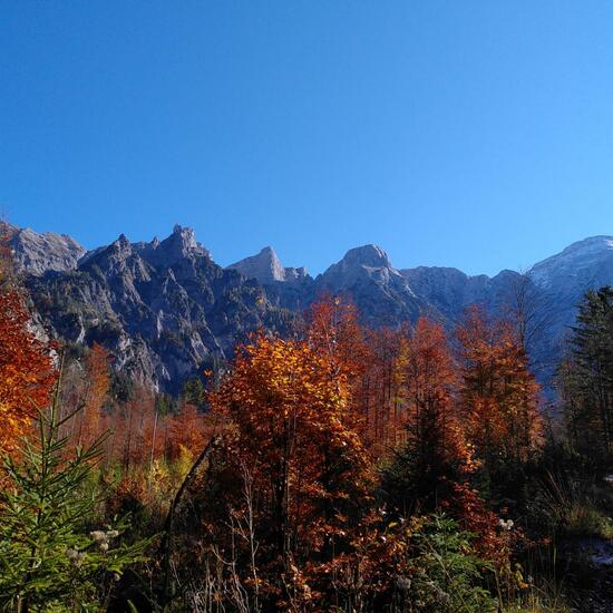 Landschaft: Berg und Felsen im Habitat Felsgebiet in der NatureSpots App