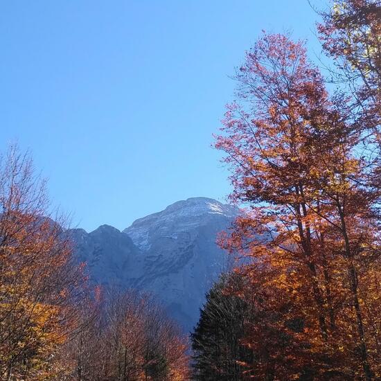 Landschaft: Berg und Felsen im Habitat Felsgebiet in der NatureSpots App