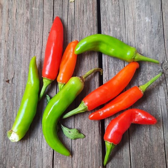 Capsicum: Plant in habitat Garden agriculture in the NatureSpots App