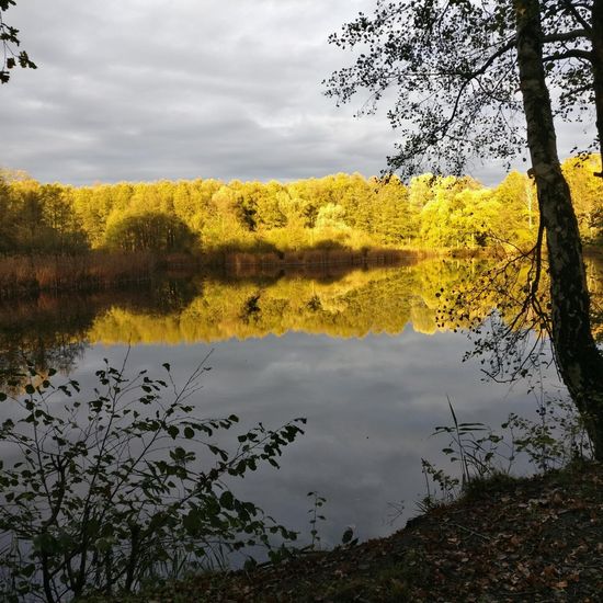 Landschaft: Süßwasser im Habitat See in der NatureSpots App