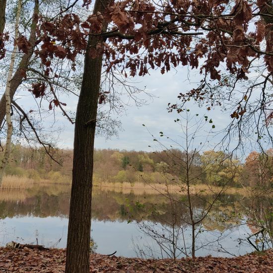 Landschaft: Süßwasser im Habitat See in der NatureSpots App