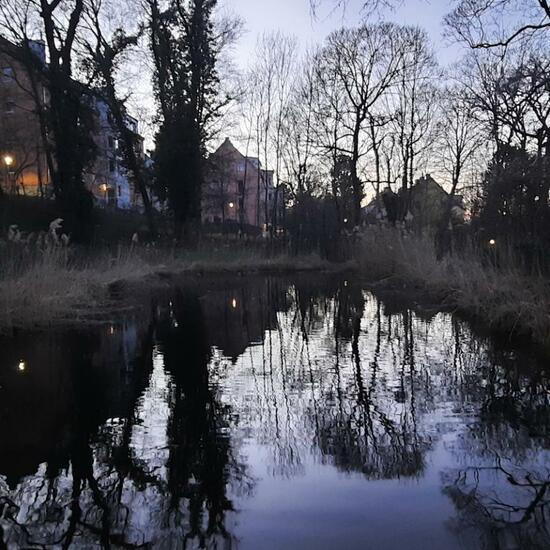 Landscape: Freshwater in habitat Pond in the NatureSpots App