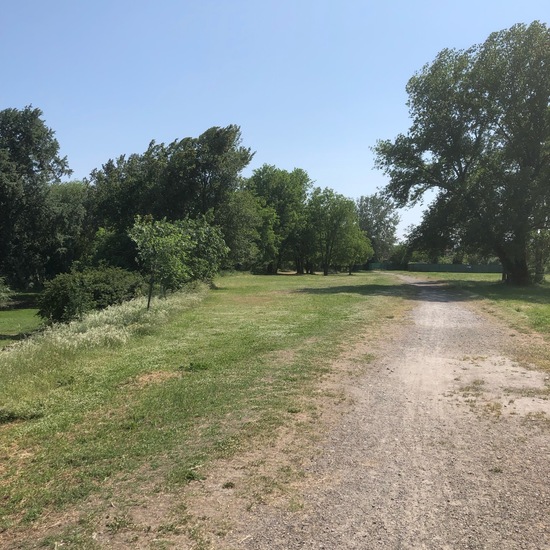 Landscape: Urban and Garden in habitat Park in the NatureSpots App