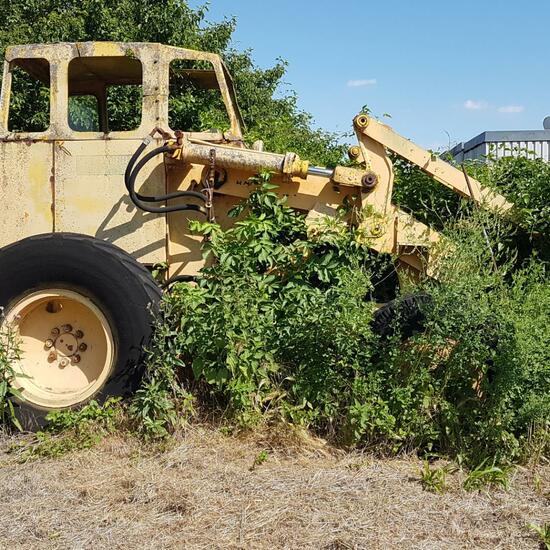 Landscape: Urban and Garden in habitat Sub-urbia in the NatureSpots App