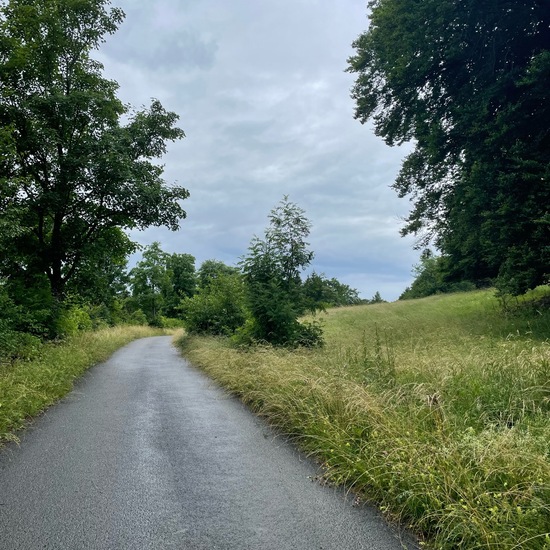 Landscape: Grassland and Shrub in the NatureSpots App