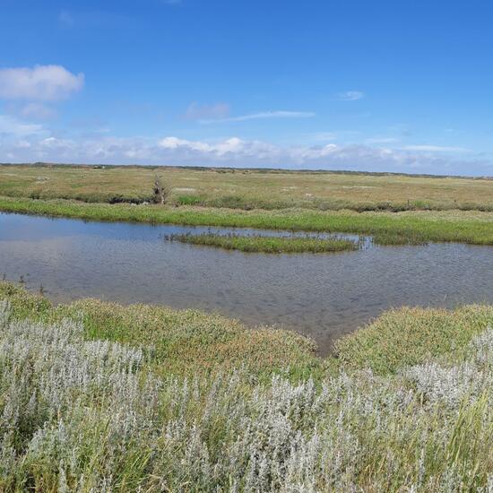 Landscape: Marine and Coast in habitat Marine habitat in the NatureSpots App