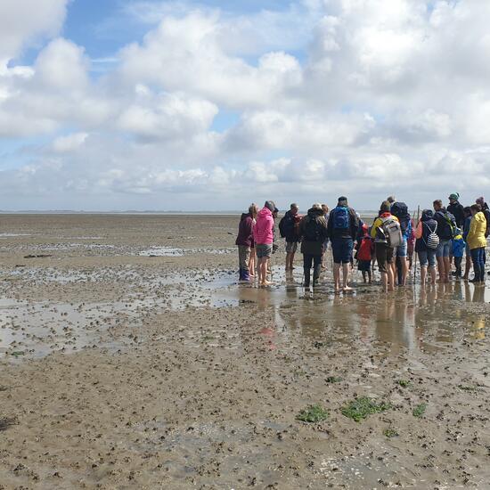 Landscape: Marine and Coast in habitat Mudflat in the NatureSpots App