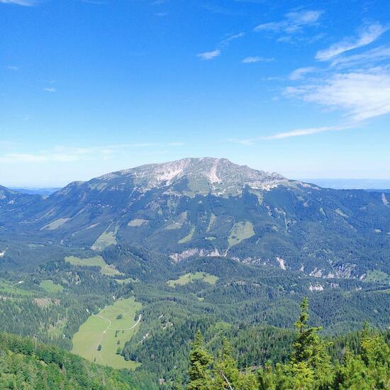 Landscape: Mountain and Rock in habitat Mountain habitat in the NatureSpots App