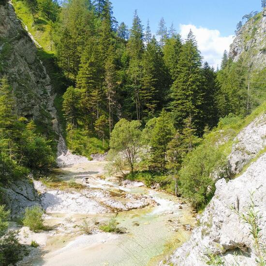 Landscape: Freshwater in habitat Stream in the NatureSpots App