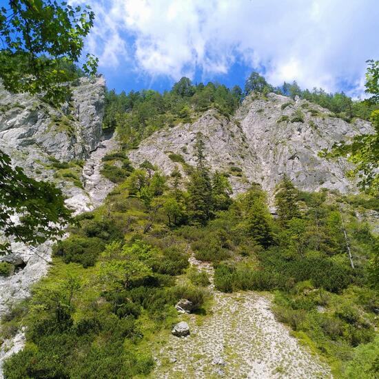 Landscape: Mountain and Rock in habitat Rock areas in the NatureSpots App