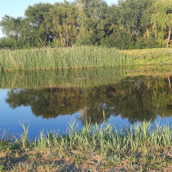 Landschaft: Süßwasser im Habitat Anderes Süsswasserhabitat in der NatureSpots App