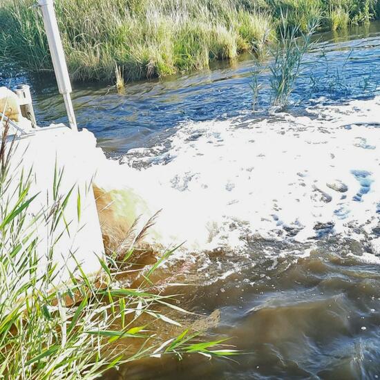 Landschaft: Süßwasser im Habitat Anderes Süsswasserhabitat in der NatureSpots App