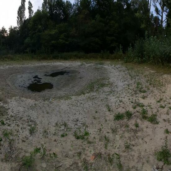 Landschaft: Süßwasser im Habitat Teich in der NatureSpots App