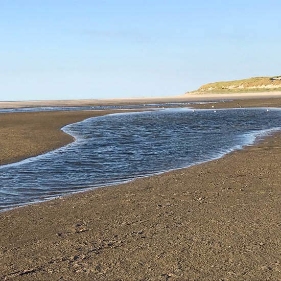 Landschaft: Meer und Küste im Habitat Sandküste in der NatureSpots App