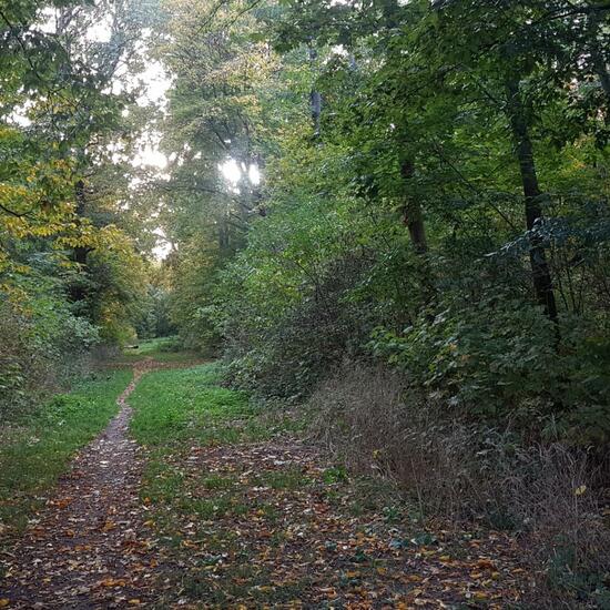 Landschaft: Stadt und Garten im Habitat Park in der NatureSpots App