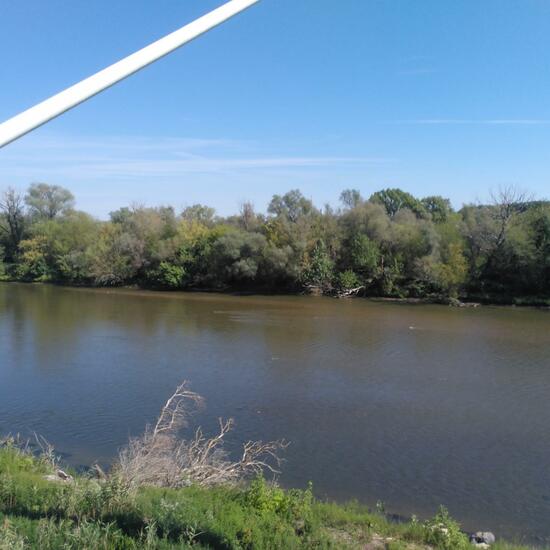 Landschaft: Süßwasser im Habitat Fluss in der NatureSpots App