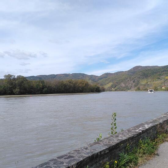 Landschaft: Süßwasser im Habitat Fluss in der NatureSpots App