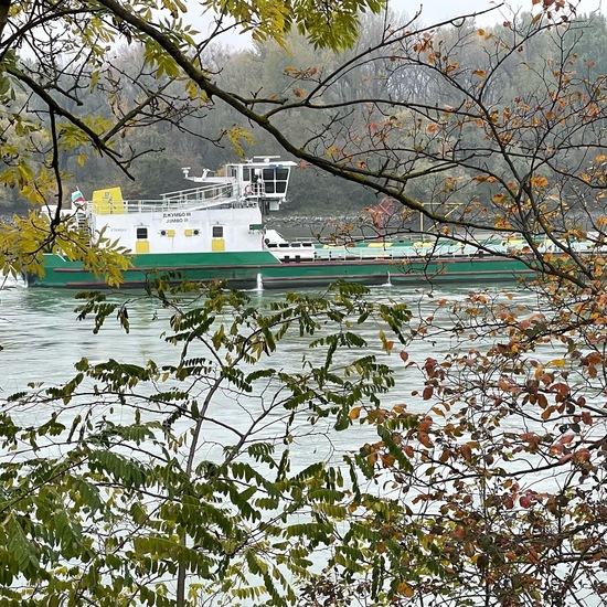 Landschaft: Süßwasser im Habitat Fluss in der NatureSpots App