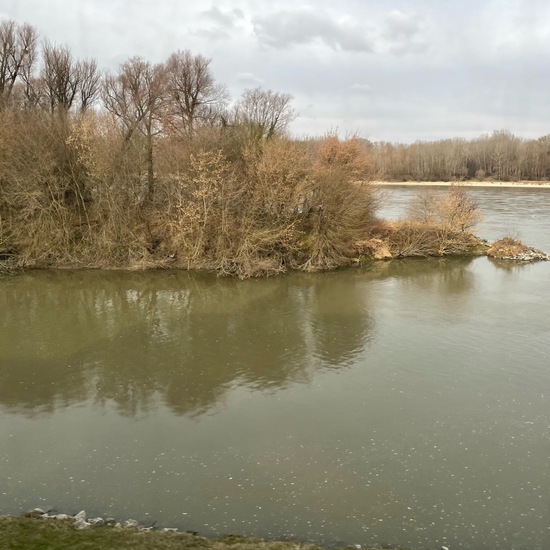 Landschaft: Süßwasser im Habitat Fluss in der NatureSpots App