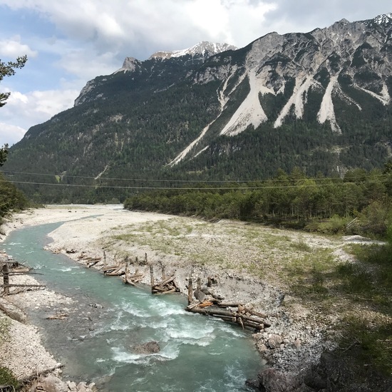 Landscape: Freshwater in habitat River in the NatureSpots App