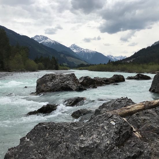 Landscape: Freshwater in habitat River in the NatureSpots App