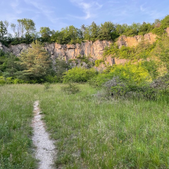 Landscape: Other habitat in the NatureSpots App