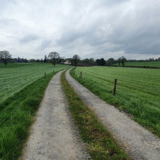 Landscape: Grassland and Shrub in habitat Semi-natural grassland in the NatureSpots App