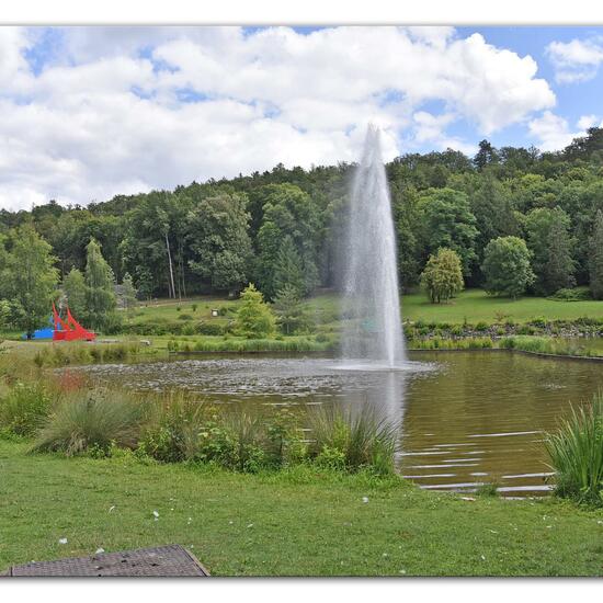 Landscape: Urban and Garden in habitat Park in the NatureSpots App