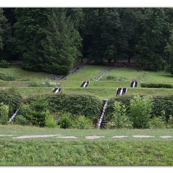 Landscape: Urban and Garden in habitat Park in the NatureSpots App