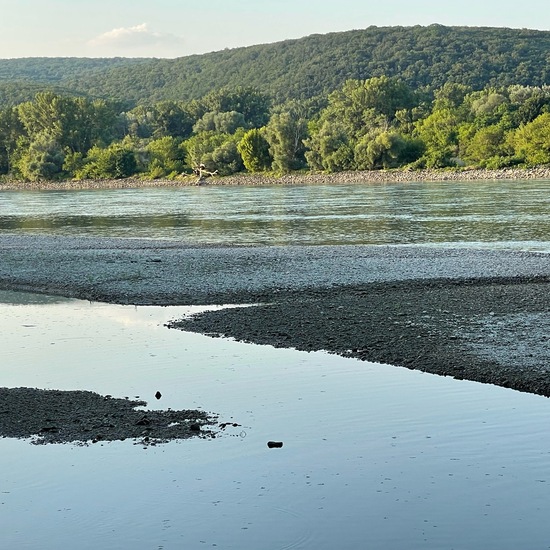 Landscape: Freshwater in habitat River in the NatureSpots App