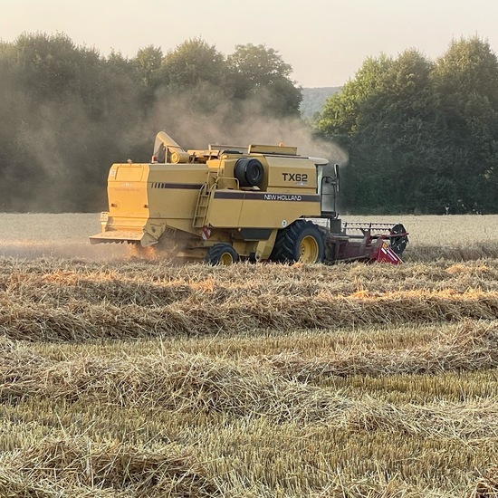 Landscape: Agriculture in habitat Crop cultivation in the NatureSpots App