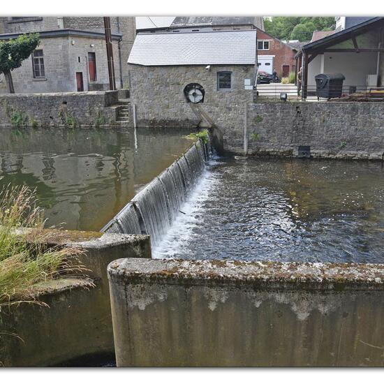 Landscape: Freshwater in habitat River in the NatureSpots App