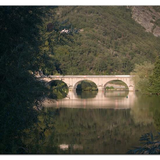 Landscape: Freshwater in habitat River in the NatureSpots App