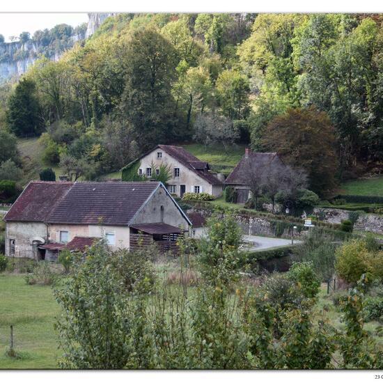 Landschaft: Stadt und Garten im Habitat Innenstadt in der NatureSpots App