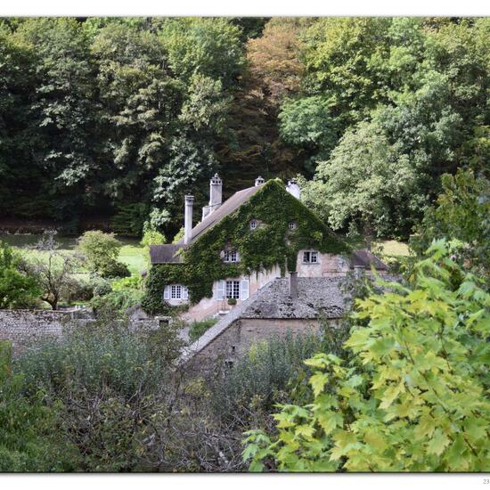 Landschaft: Stadt und Garten im Habitat Innenstadt in der NatureSpots App