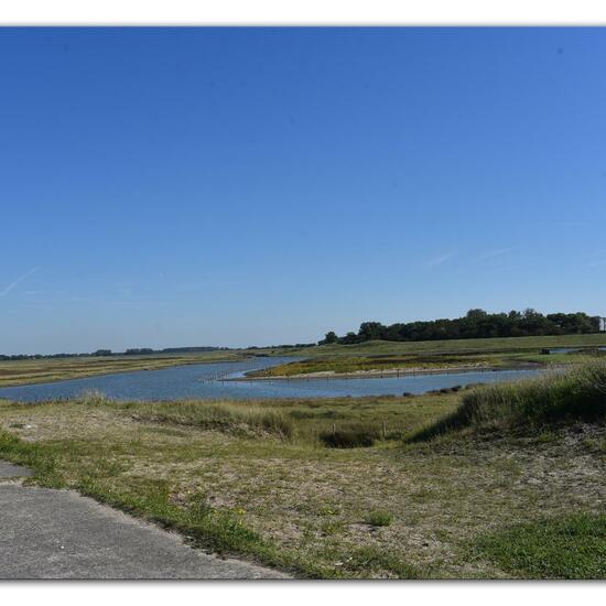 Landschaft: Meer und Küste im Habitat Anderes Meer/Küsten-Habitat in der NatureSpots App