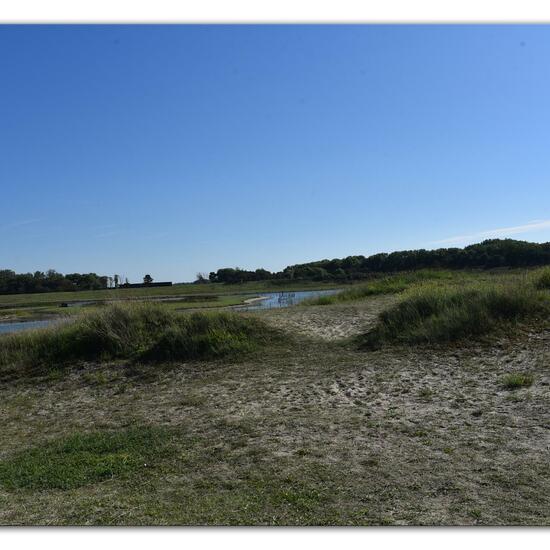 Landscape: Marine and Coast in habitat Marine habitat in the NatureSpots App