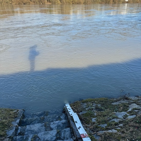 Landschaft: Süßwasser im Habitat Fluss in der NatureSpots App