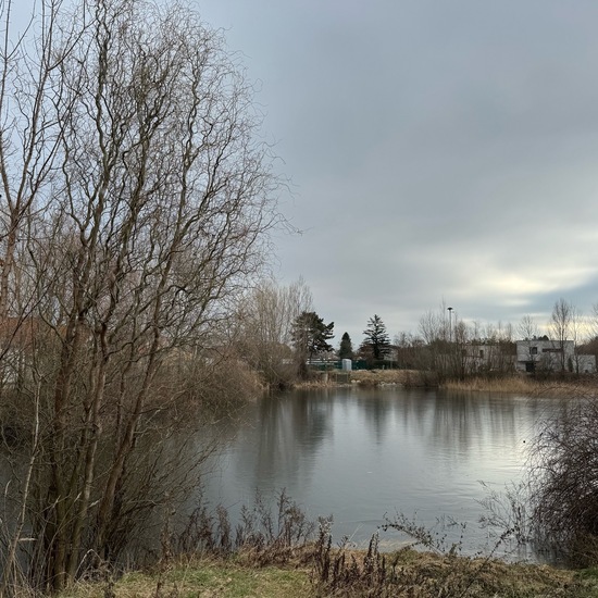 Landscape: Freshwater in habitat Pond in the NatureSpots App