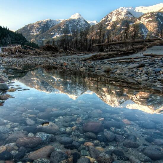 Landschaft: Meer und Küste im Habitat Sandküste in der NatureSpots App