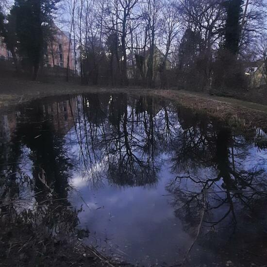 Landscape: Freshwater in habitat Pond in the NatureSpots App