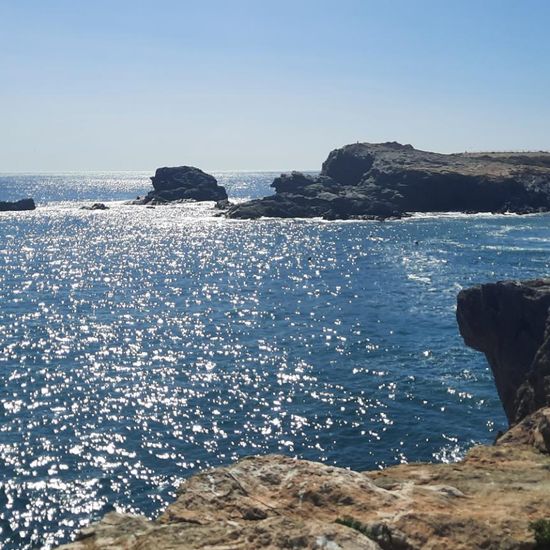 Landschaft: Meer und Küste im Habitat Felsküste in der NatureSpots App