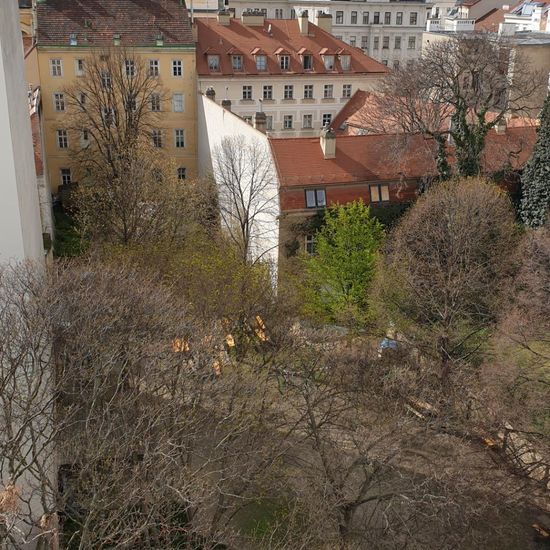 Landschaft: Stadt und Garten im Habitat Hinterhof in der NatureSpots App