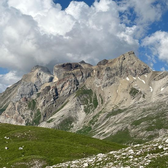 Landschaft: Berg und Felsen im Habitat Felsgebiet in der NatureSpots App