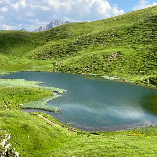 Landscape: Freshwater in habitat Lake in the NatureSpots App