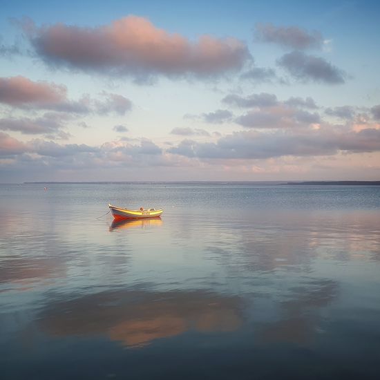 Landschaft: Meer und Küste im Habitat Sandküste in der NatureSpots App