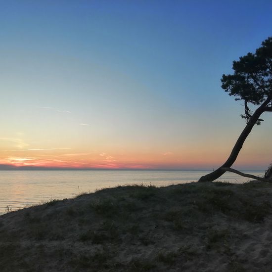 Landschaft: Meer und Küste im Habitat Sandküste in der NatureSpots App